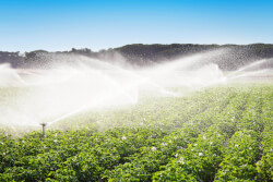 三魚(yú)使用場(chǎng)景